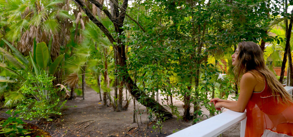 belize jungle and beach package